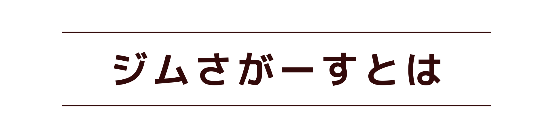 ジムさがーすとは